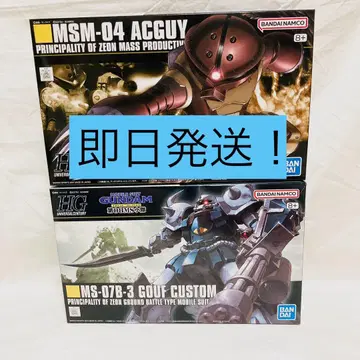 HG MSM-04 ACCGUY HG 구프 커스텀