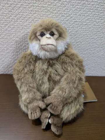 한사 원숭이 인형