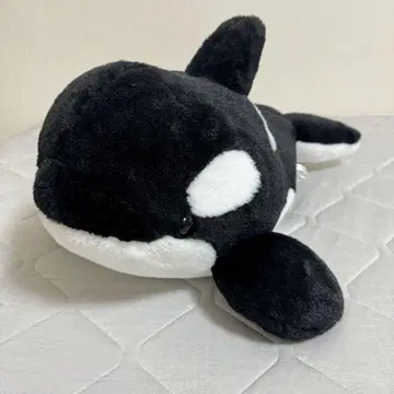 나고야항 수족관 범고래 봉제 인형 50cm 정도