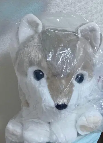 보들보들 늑대가 왔어요 울트라 BIG 회색늑대