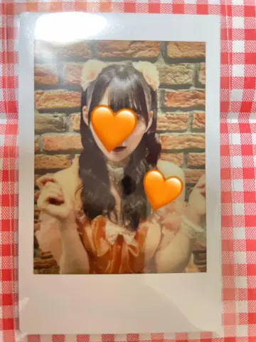 이 기나리 도호쿠산 사쿠라 히나노 폴라로이드