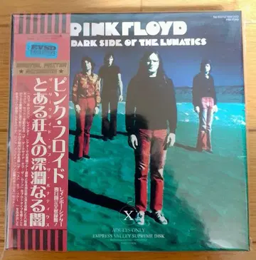 Pink Floyd The Dark Side of the Lunatics