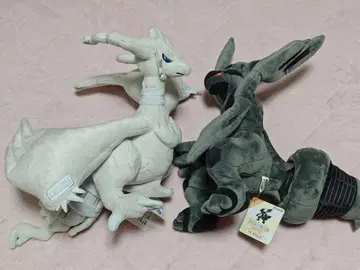 포켓몬 제크로무 레시라무 봉제 인형