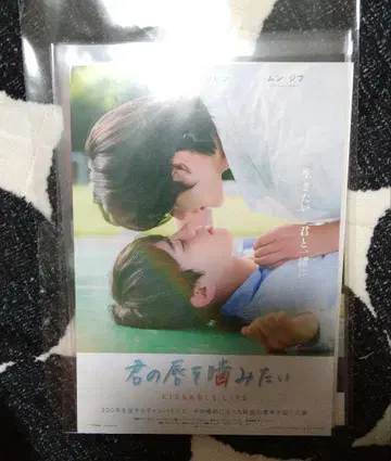 너의 입술을 깨물고 싶어 영화관 플라이어 김지웅 윤서빈 1매