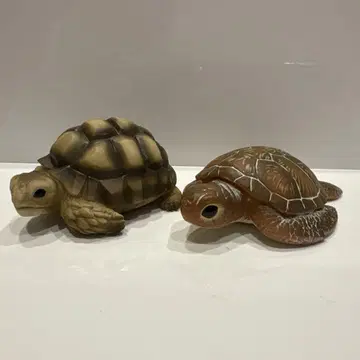 손바닥 프렌즈 육지거북 바다거북