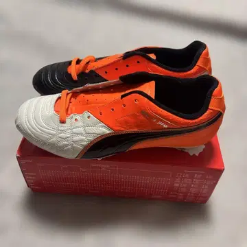 (초레어) Puma 파라메히코 라이트 28.0 교체식