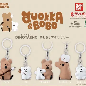 메지루시 액세서리 총 5종 세트 DINOTAENG 가챠