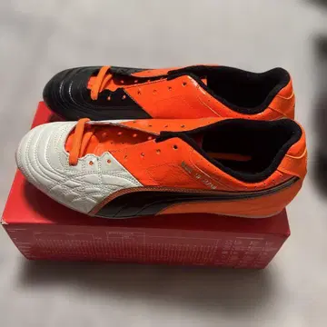(초레어) PUMA 파라메히코 라이트 28.0