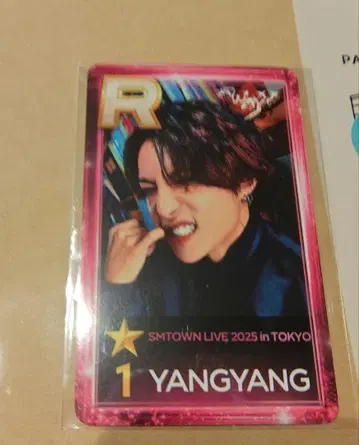 Wayv 양양