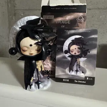 SKULLPANDA IMAGE Of REALITY 시리즈 시크릿