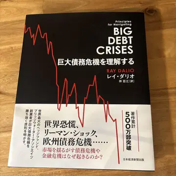 거대 채무 위기를 이해하다