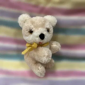 낡은 곰 봉제 인형