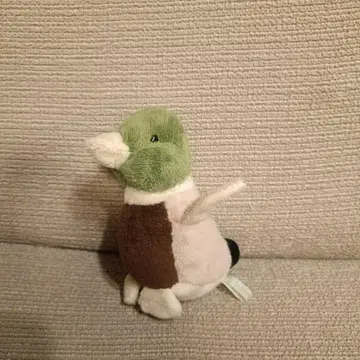 썬애로우 Nacky Farm 카모 오리 새 봉제 인형