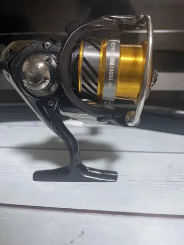 DAIWA REVROS LT2000S-XH