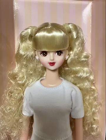 제니 프렌드 H 리카짱 캐슬 니혼바시 작은 가게 한정판 인형