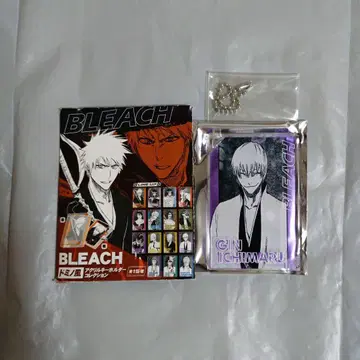BLEACH 도미노풍 아크릴 키링 이치마루 긴
