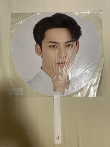 SEVENTEEN MINGYU 부채