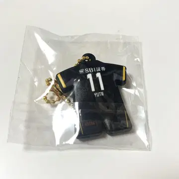 베갈타 고노이에 키링