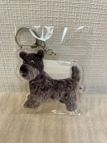 wani souma 아크릴 키링 terrier