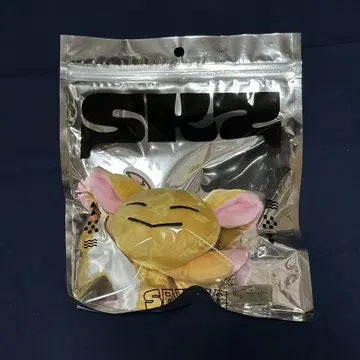 StrayKids 스키즈 팝업 멘프로 아이엔