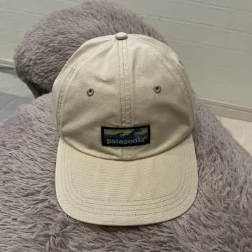 Patagonia 파타고니아 캡 물결 택 베이지