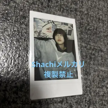 아노 쨩 폴라로이드
