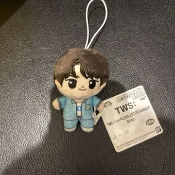 TWS From PLEDIS 호와누이 시뉴