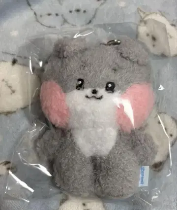 고니니 zb1