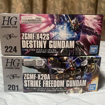 HG 1/144 데스티니 건담 & 스트라이크 프리덤 건담