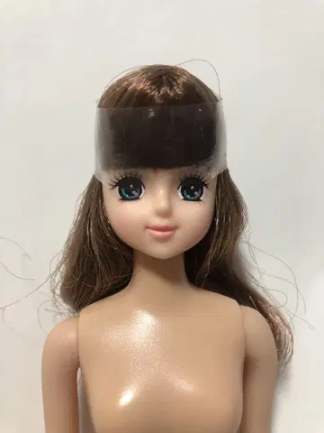 리카짱 캐슬 제니 프렌드 아야노