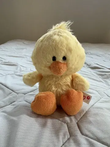 NICI 병아리 15cm