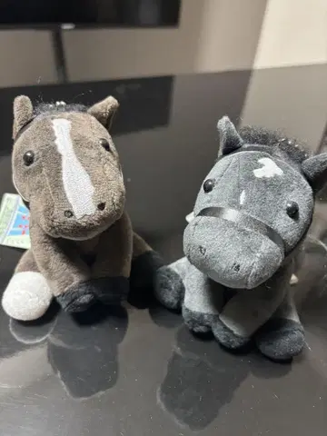 아이돌 호스 봉제 인형 2체 세트