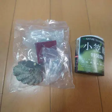 네이처 테크니컬러 오가사와라 특장판 유우젠