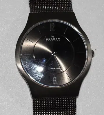 (작동품) SKAGEN 티타늄 손목시계 2침