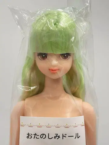 타마키 연한 그린 계열 오타노시미 인형 리카짱 캐슬 리틀팩토리