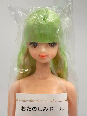 타마키 리카짱 캐슬 오타노시미 인형 펄 그린 계열 제니 프렌드