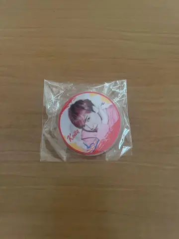 w-inds. 캔뱃지