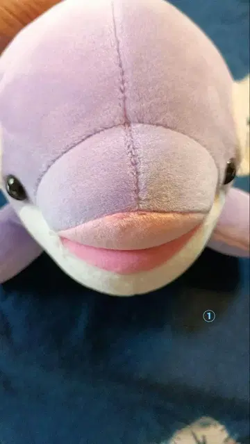 스마 씨월드 샤치 봉제 인형 3개 1주년