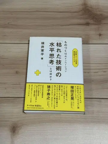 고루한 기술의 수평적 사고