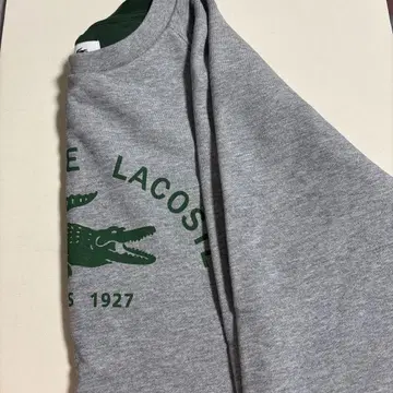 LACOSTE 그레이 트레이너 사이즈 36