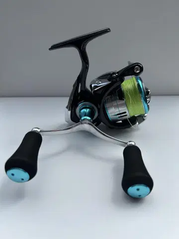 다이와 19 에 LT2500S-DH