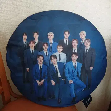 SEVENTEEN 멤버 전원 프린트 쿠션 프리미엄 라운드 쿠션