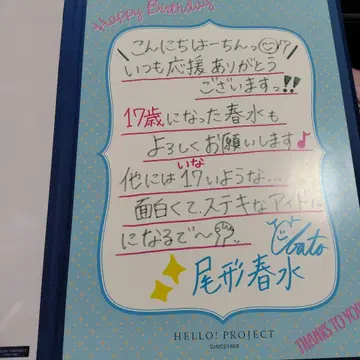 HELLO! PROJECT 벌스데이 사진 스탠드