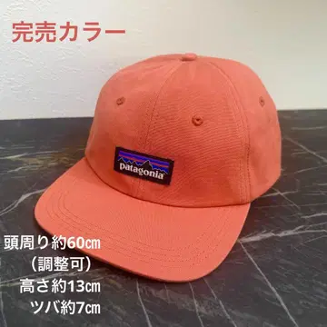 [선착순] Patagonia 파타고니아 P-6 라벨 트레디셔널 캡