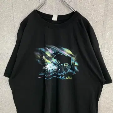 헤인즈 애니멀 풍경 프린트 알래스카 블랙 티셔츠 2XL 정도