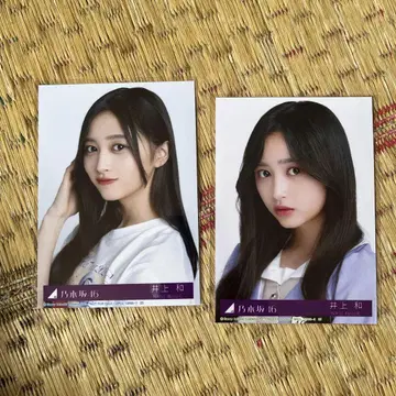 이노우에 나기 폴라로이드 2매 세트 사카미치 시리즈