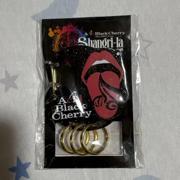 Acid Black Cherry 키링
