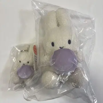 네덜란드 파빌리온 커먼 그라운드 미피 세트