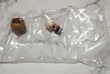 코에다라이즈 카드캡터 사쿠라 키노모토 사쿠라1