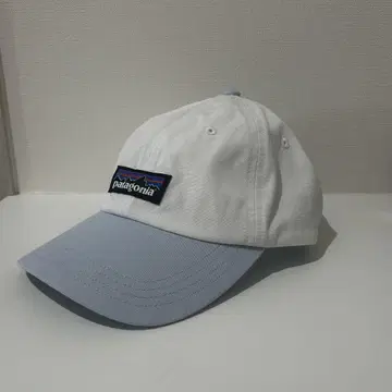 Patagonia P-6 라벨 트레디셔널 캡